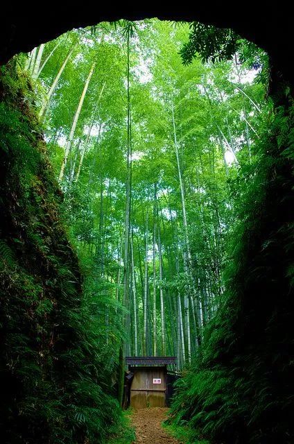 半山听雨古诗词（竹林听雨唯美句子赏析）