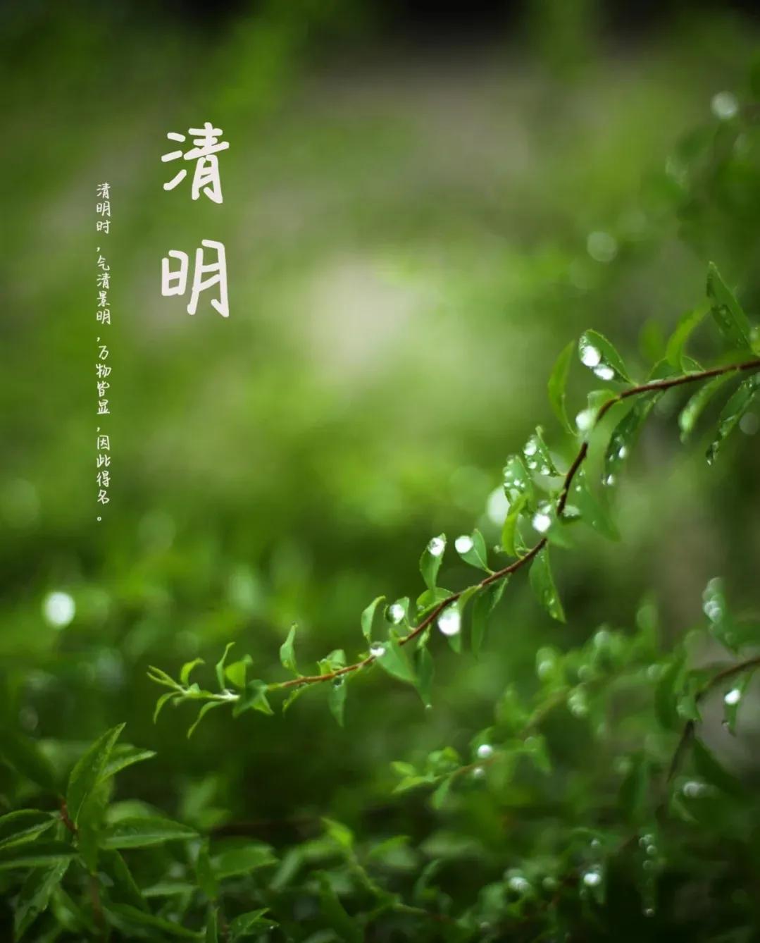描写清明节的句子佳句（最有名的清明节古诗）