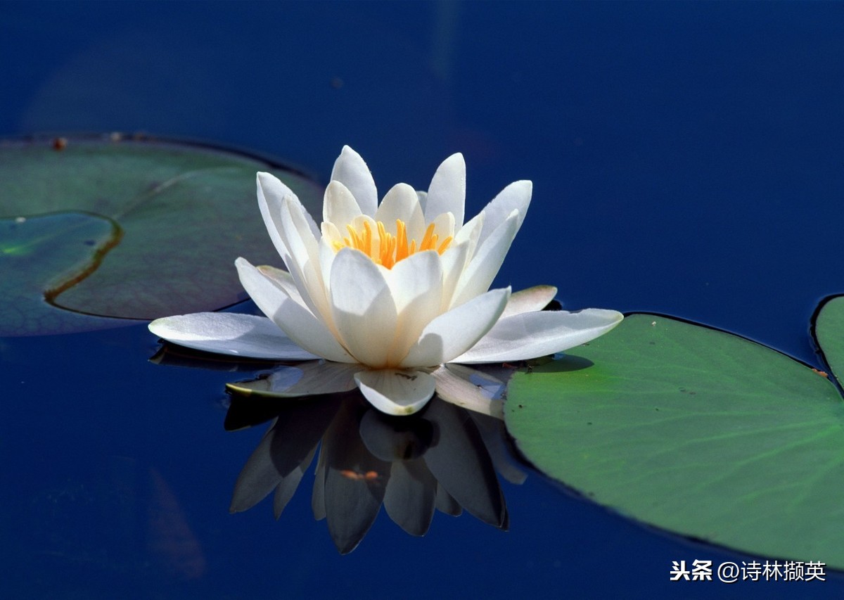 关于水的诗句有哪些（带有水的古诗大全）