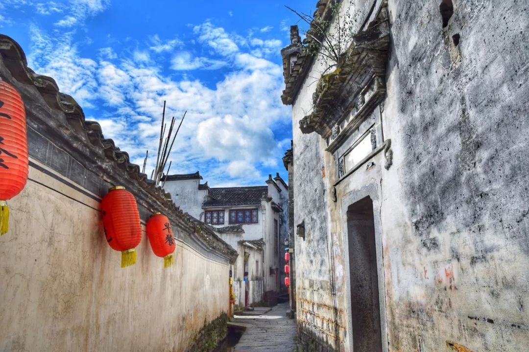关于重阳的诗句有什么（描写重阳节的诗词鉴赏）