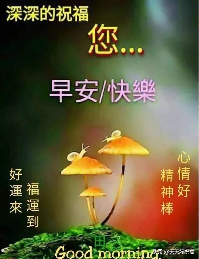 周末暖心的短句简短（美好的周末心情说说）