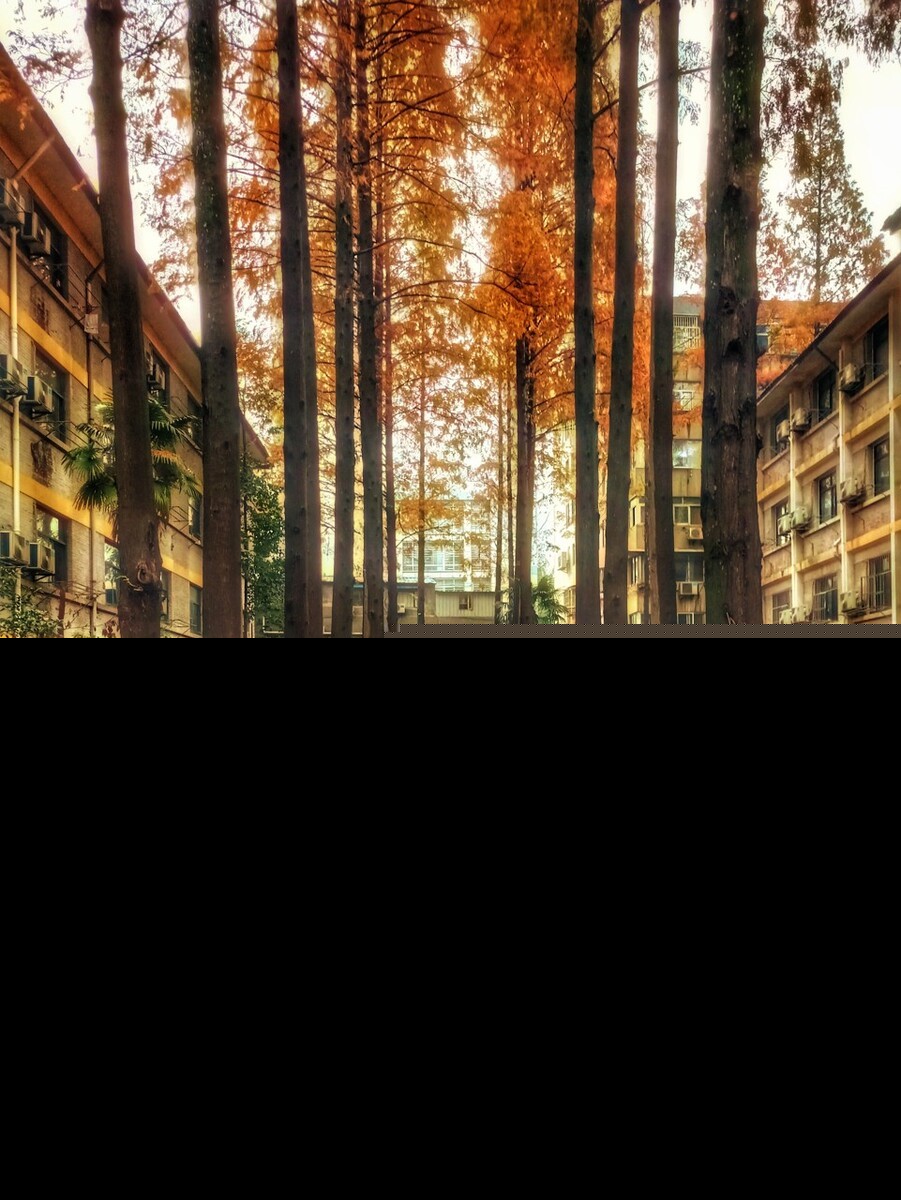 描写秋雨的句子佳句（写秋雨的唯美句子开头）