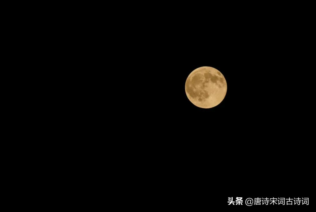 十五月望月寄杜郎中（十五夜望月古诗原文及翻译 ）
