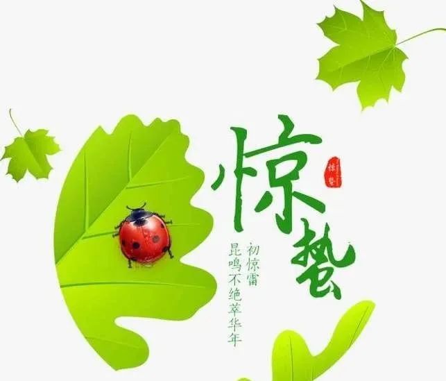 春天的祝福语简短（祝福春天的优美语句）