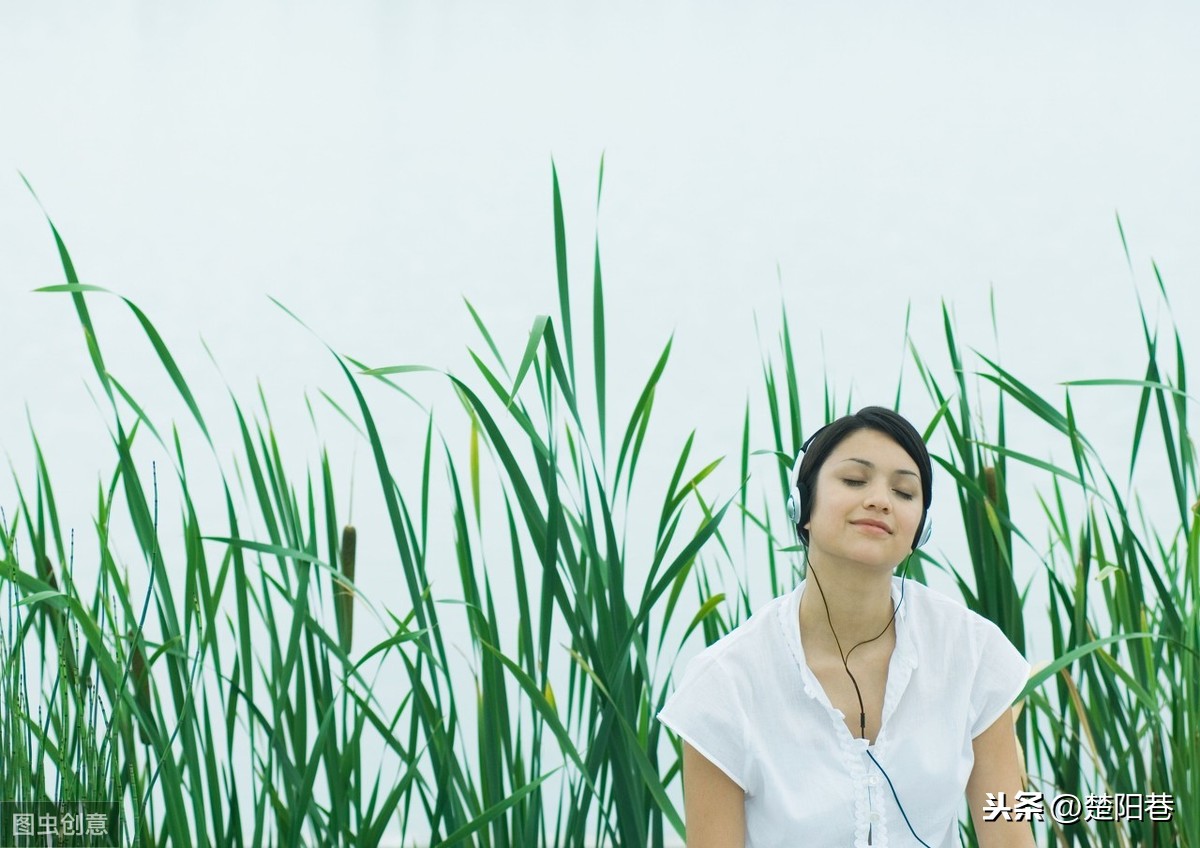 心如止水什么意思（心如止水的唯美句子）