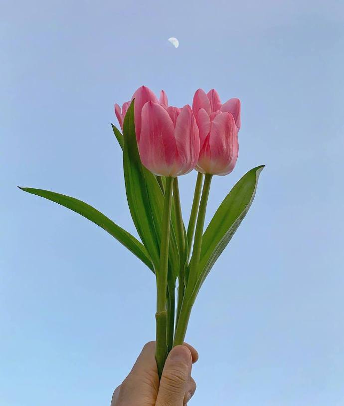 网络经典语句人生（网络人生感悟的句子）