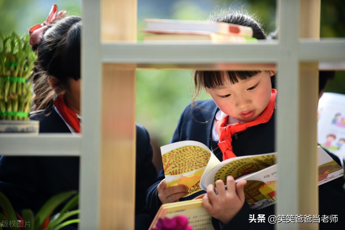 有关祖国风光的谚语（关于青春爱国的诗词）