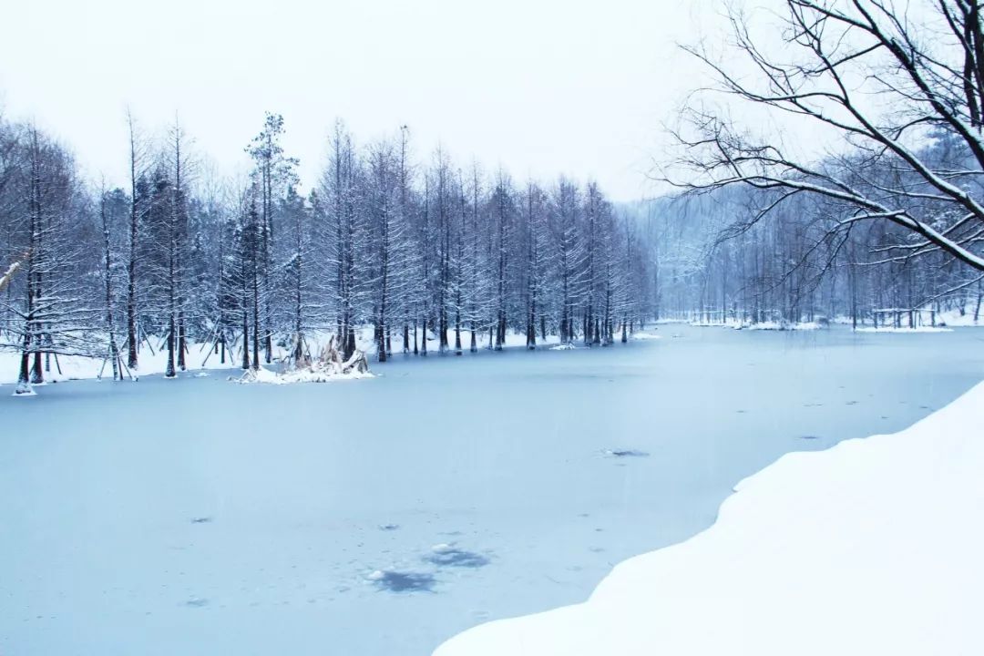 关于冬天的古诗有哪些（描写冬天景色的诗句欣赏）