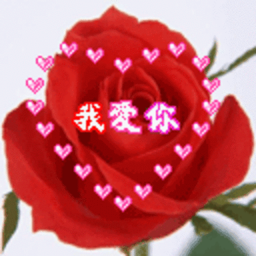情人节祝福短信推荐（最新情人短信大全）