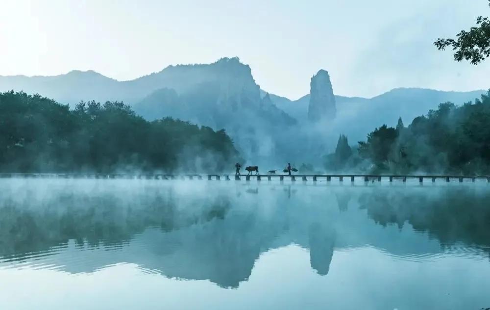 关于读书的诗句名言（有冲劲的正能量句子）
