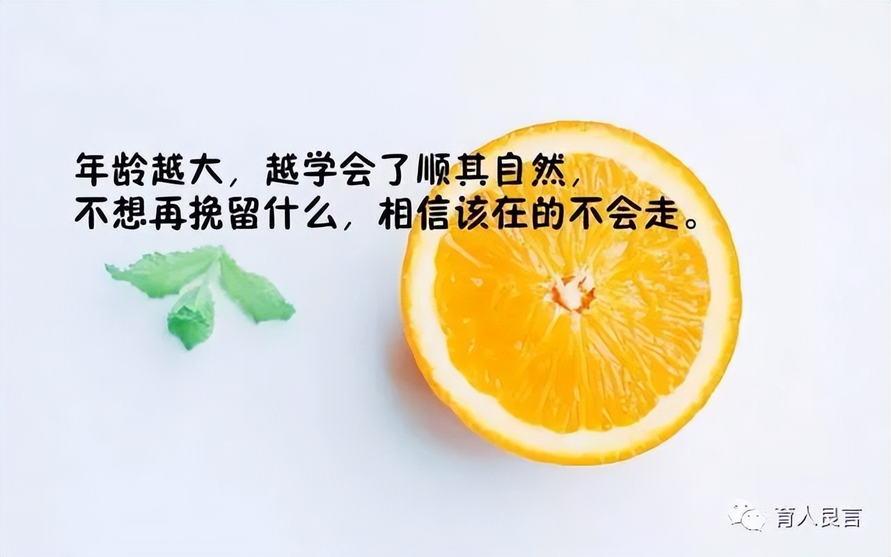 哲理句子人生感悟（关于感悟人生的句子）