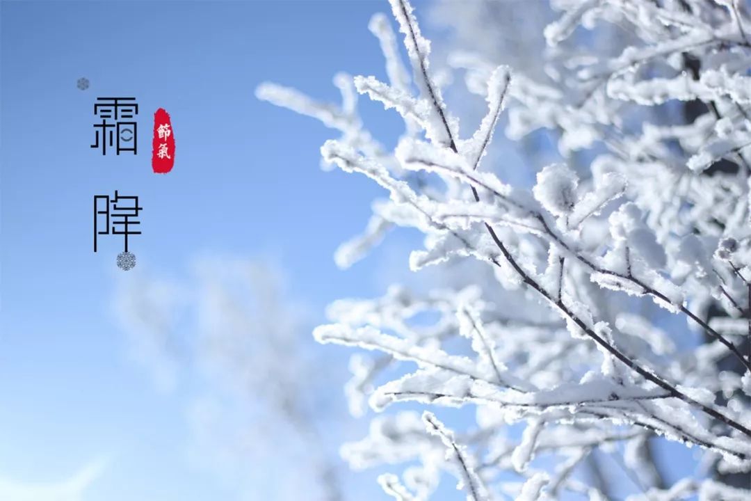 二十四节气的古诗有哪些（关于节气的诗词欣赏）