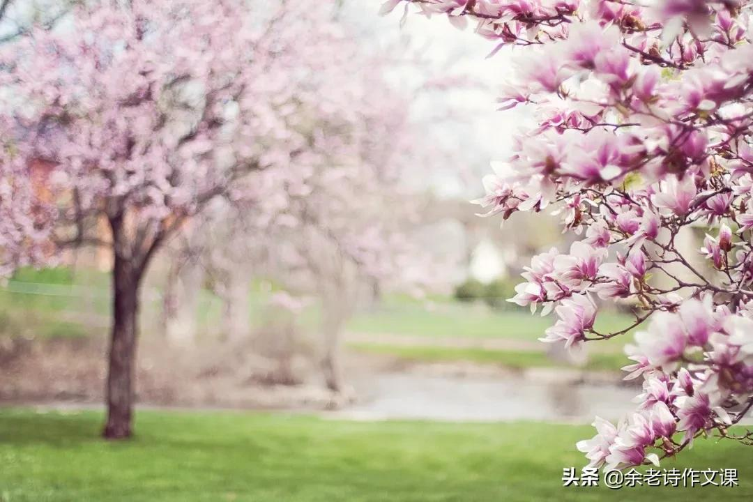 描写环境优美的句子（环境描写的段落摘抄赏析）