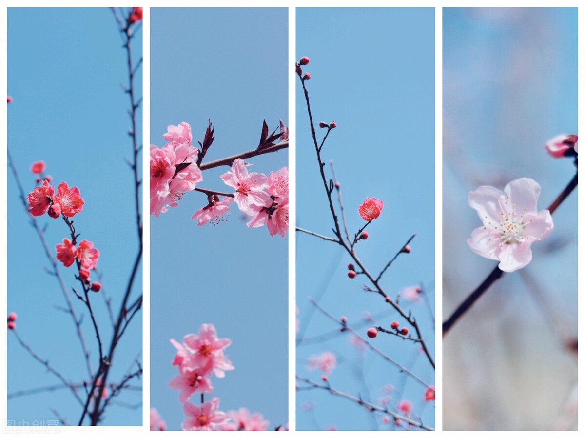 春花秋月原文（虞美人春花秋月何时了翻译及赏析）