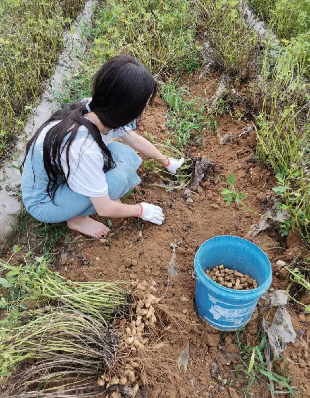 激励人拼搏奋斗的短语（积极向上阳光励志短语）