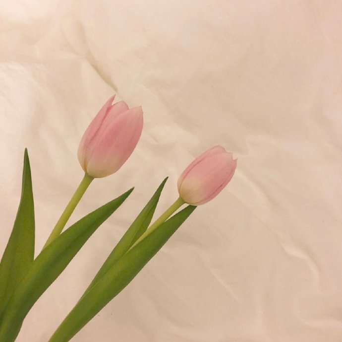 五一节日祝福短信（节日祝福语大全简短）