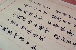 山有木兮木有枝的下一句（越人歌全诗赏析）