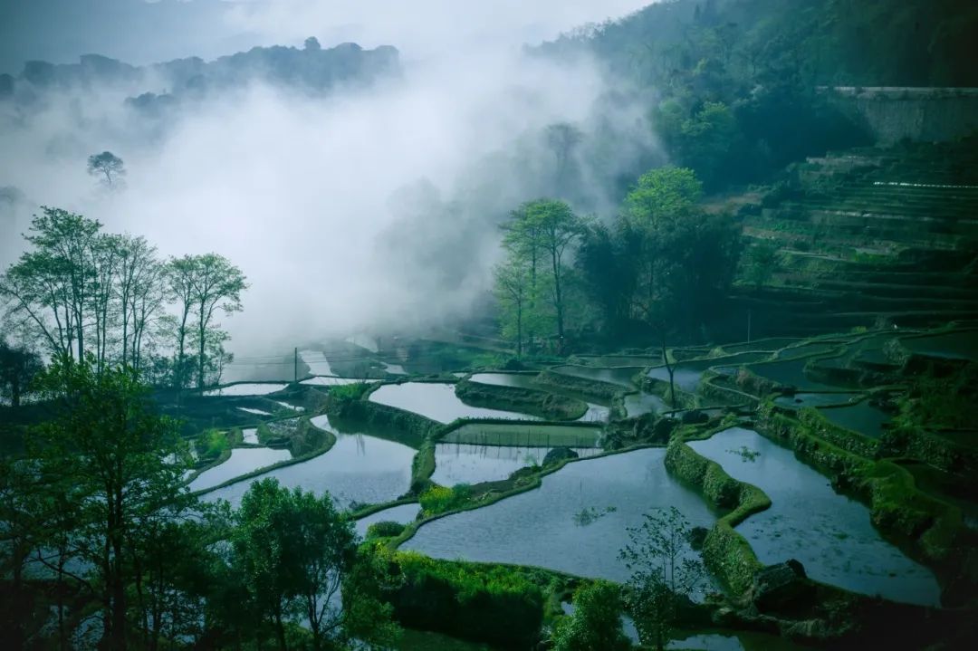 古诗中的山水风光（赞美山水风景优美的诗句）