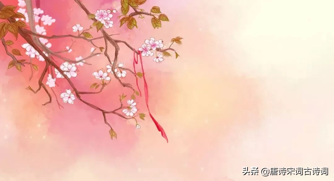 描写桃花的诗词名句（赞美桃花的名言佳句）