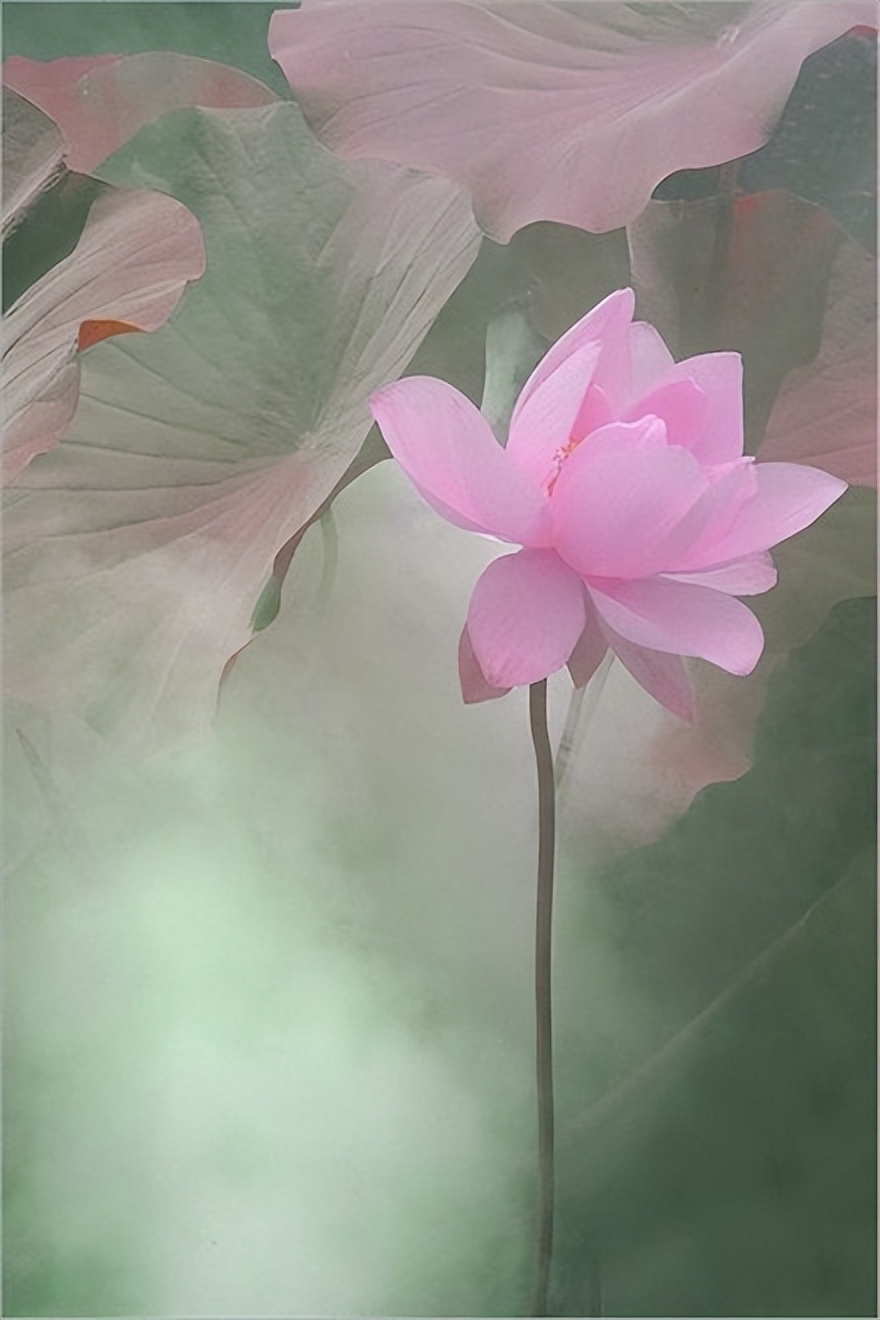 经典哲理句子大全（充满人生哲理的句子）