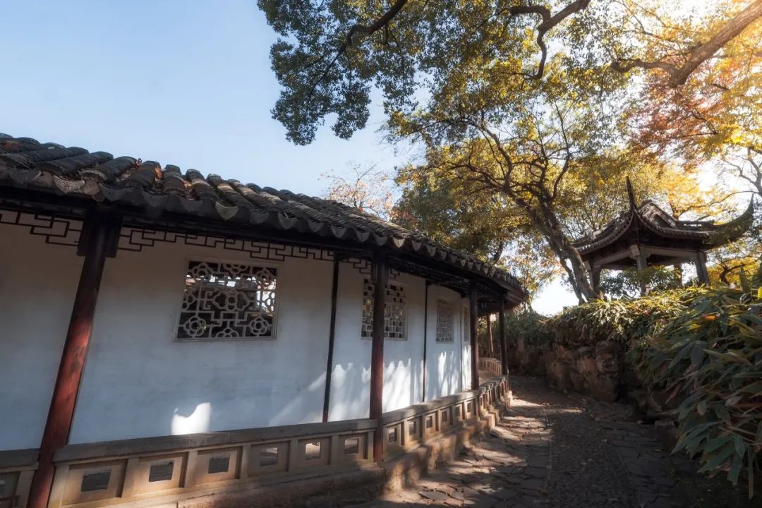 元稹的诗代表作（元稹著名诗词欣赏）