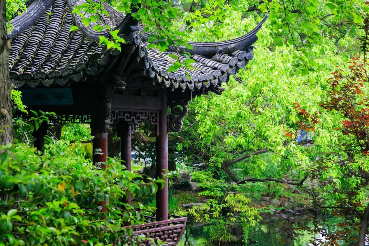 冬日暖阳岁月静好诗句（冬日暖阳的唯美诗词）