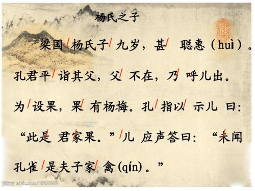杨氏之子文言文翻译（杨氏之子的译文和道理）