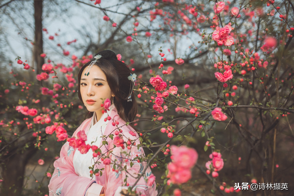 爱字开头的诗句有哪些（含有爱字开头的唯美诗句）