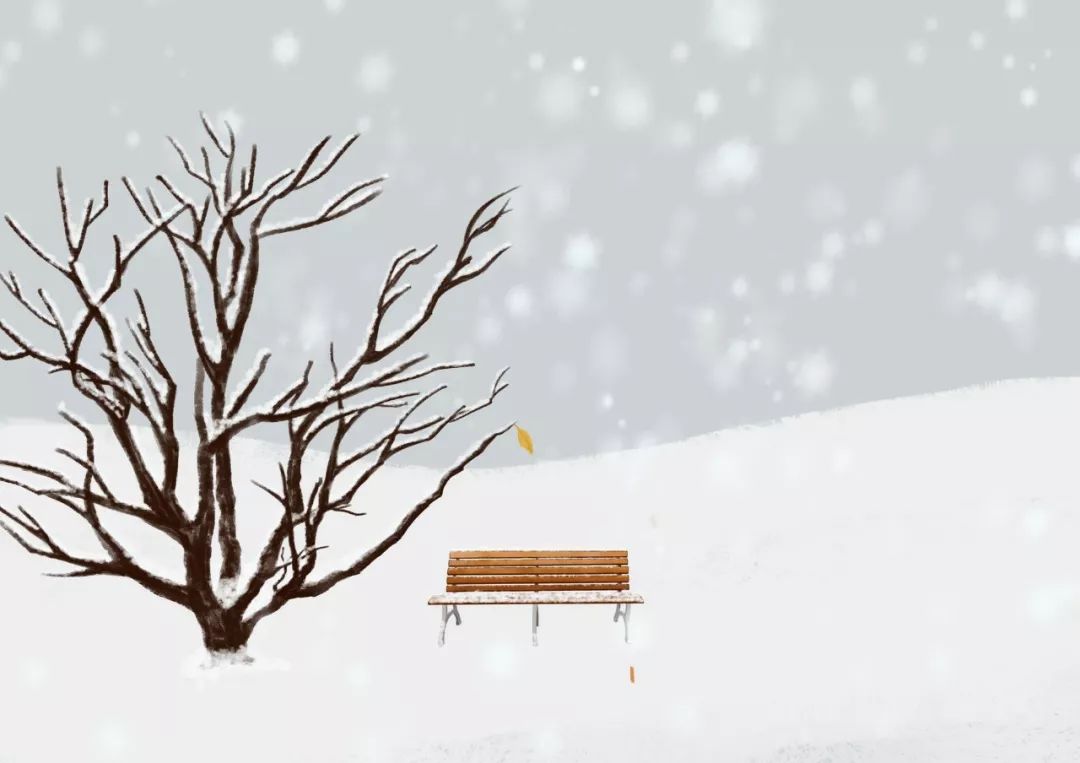 雪诗句大全唯美（赞美雪景的佳句）