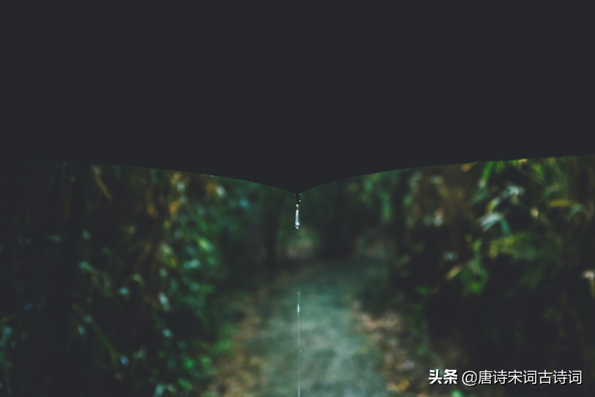带雨的诗句有哪些（描写雨天的优美句子）