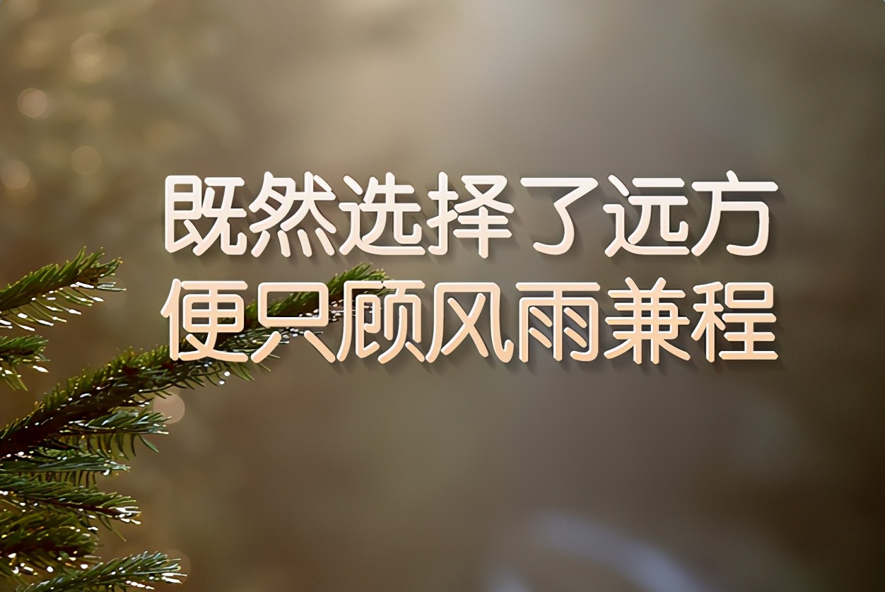 给学生的祝福语句简短唯美（祝愿学生未来可期的句子）