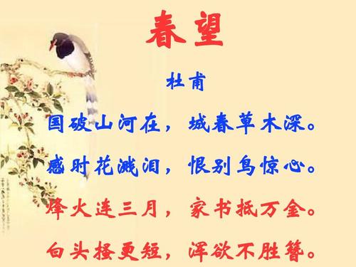 春望古诗原文是什么（春望古诗词赏析）