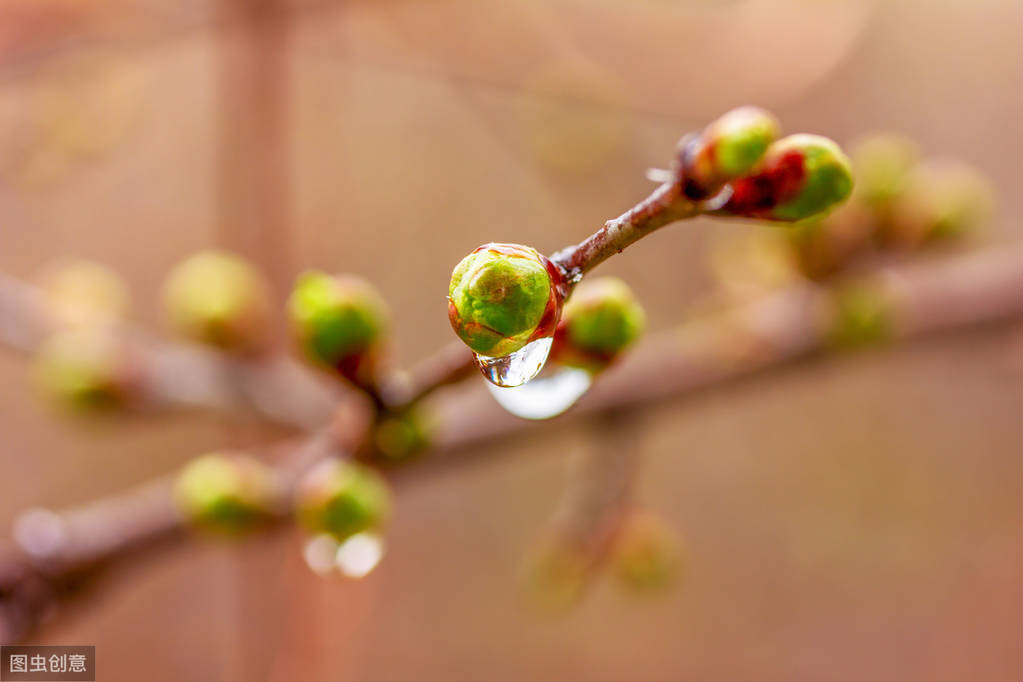 春夜喜雨意思翻译（春夜喜雨的诗意解释）