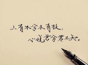 山有木兮木有枝的下一句（越人歌全诗赏析）