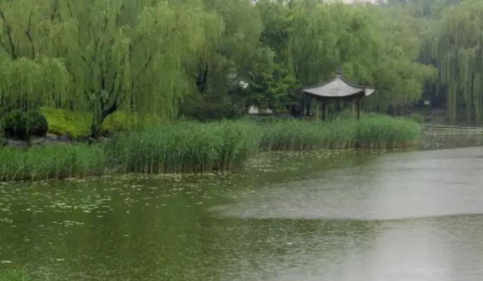 雨水的诗词有哪些（描写雨水的古诗赏析）