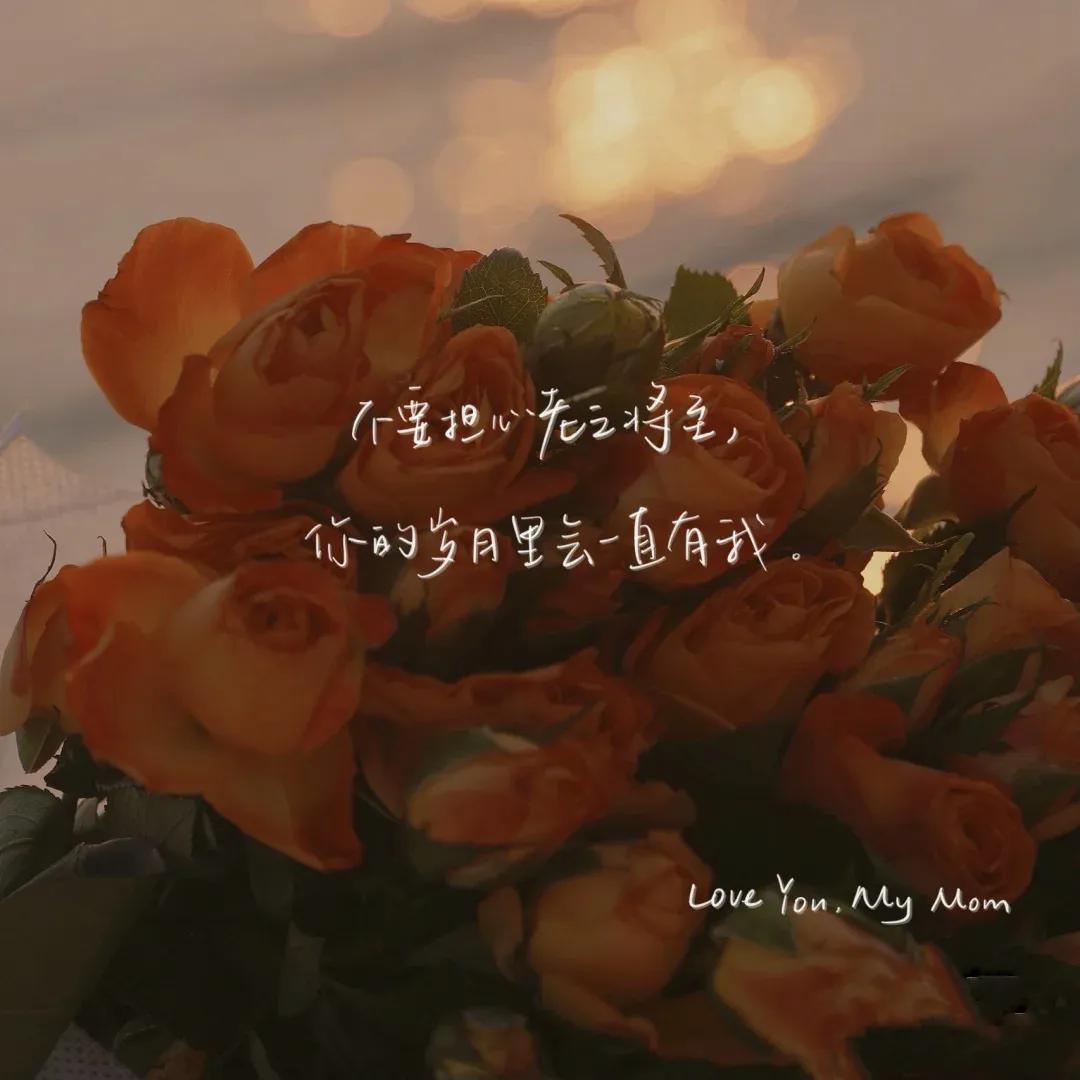 母亲节语录简短唯美（母亲节文案短句干净）