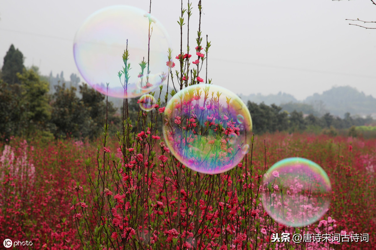 感恩诗句古诗大全（心怀感恩的古诗词）