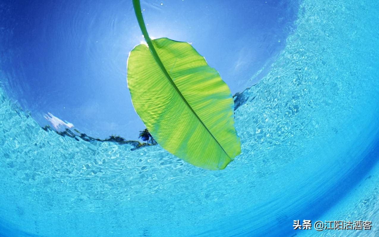 四月的节日和纪念日（4月份特殊的日子）