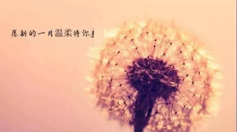 祝福的唯美句子短句（温暖祝福的句子唯美 ）