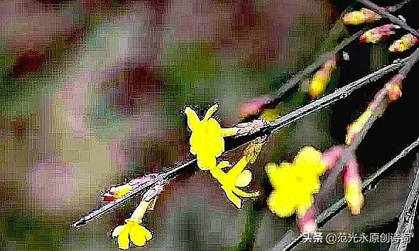 虎年诗句古诗大全（带虎字的寓意好的诗句）