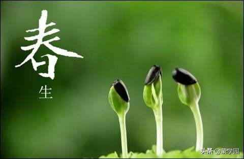 描写春天的词语四个字（描写春天的句子摘抄）