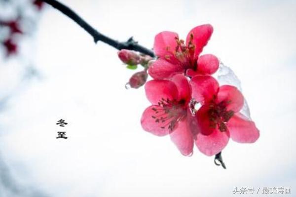 冬至的诗句古诗大全（赞美冬至的著名诗句）
