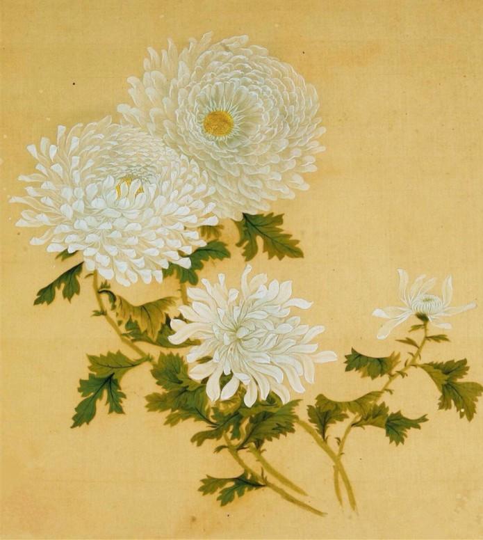 写菊花的诗句古诗（赞美菊花坚强的诗句）
