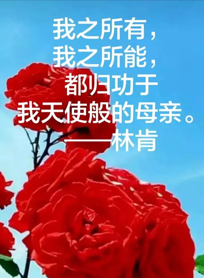 赞美母亲的句子简短（表达感恩母亲的诗句）