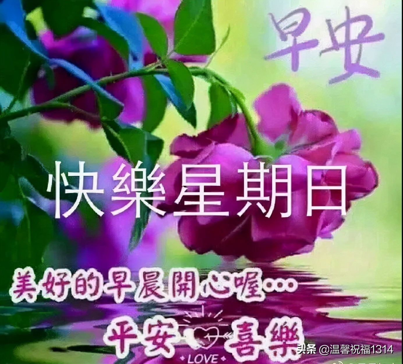 周末祝福语（美好周末的唯美短句）