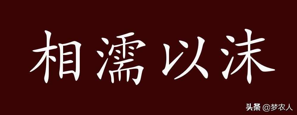 相濡以沫的近义词是什么（相濡以沫意思相近的成语及例句）
