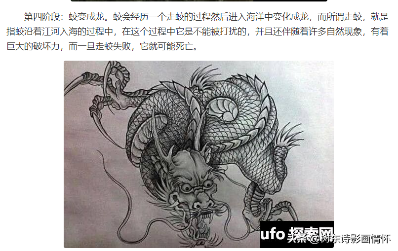 带龙字的成语有哪些（龙的成语大全四个字赞美祝福）