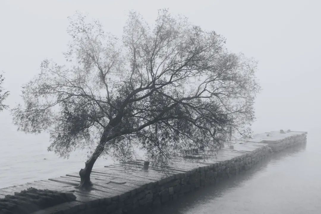 描写冬天的段落美文（描写雪景的优美散文）