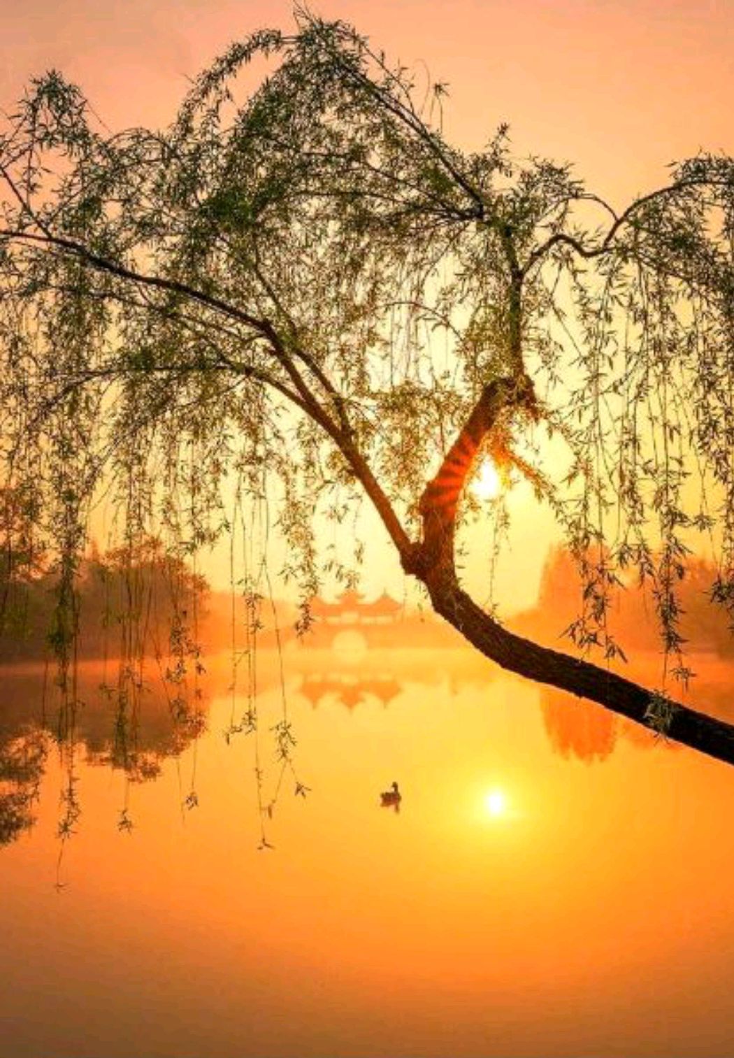 描写黄昏的诗句古诗（夕阳余晖的唯美诗句）