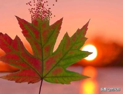 qq空间霸气留言大全（好听的qq留言句子）